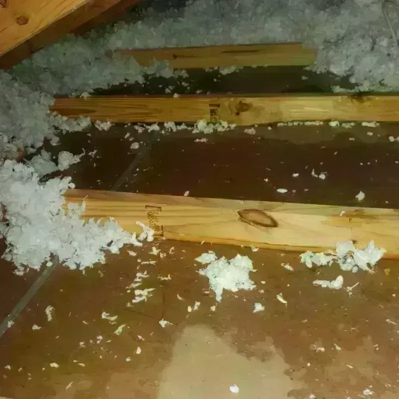 Attic Water Damage in Naples, NY