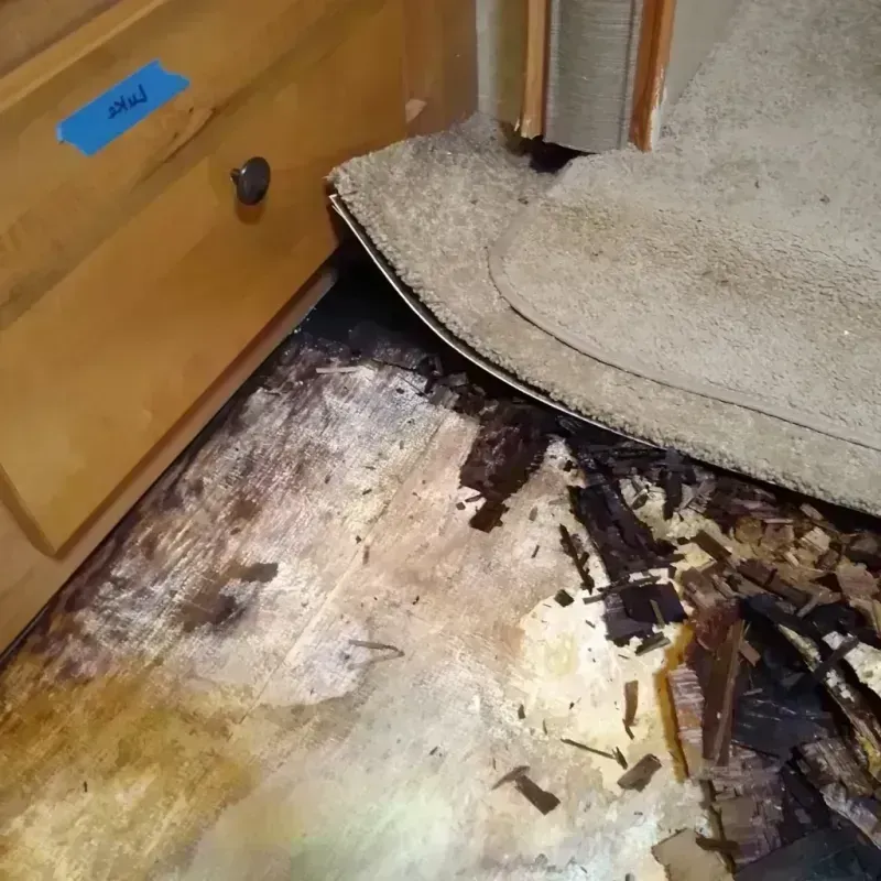 Wood Floor Water Damage in Naples, NY